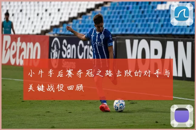 小牛季后赛夺冠之路击败的对手与关键战役回顾