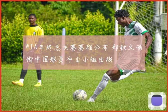 WTA年终总决赛赛程公布 郑钦文领衔中国球员冲击小组出线