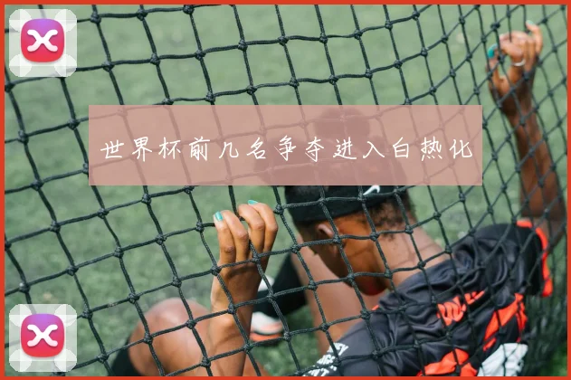 世界杯前几名争夺进入白热化