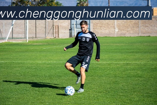 奇异果体育「中国」官方网站 - QIYIGUOSPORTS品牌故事