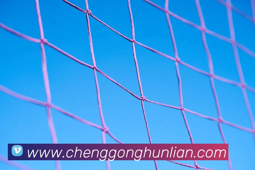 奇异果体育「中国」官方网站 - QIYIGUOSPORTSAPP 体育赛事宣传图